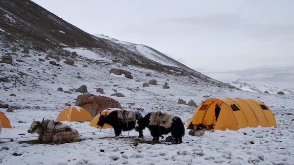 Палатка Снаряжение КАМЧАТКА (тент)