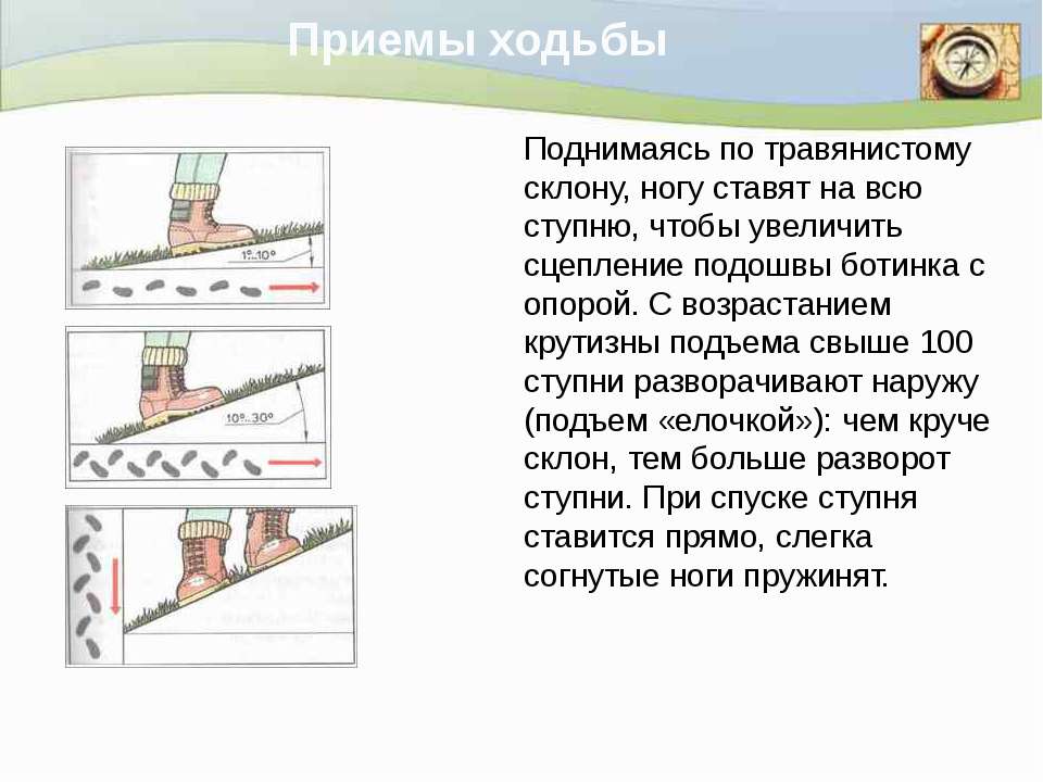 jHPcnb7niRU.jpg