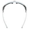 Купить Очки Alpina Skywalsh Q Smoke-Grey Matt/Green Mirror Cat.4 Fogstop в Санкт-Петербурге