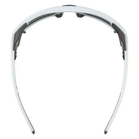 Купить Очки Alpina Skywalsh Q Smoke-Grey Matt/Green Mirror Cat.4 Fogstop в Санкт-Петербурге