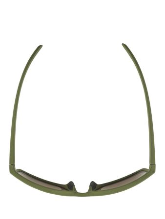 Купить Очки Alpina Nacan I Olive Matt/Bronce Mirror Cat.3 в Санкт-Петербурге