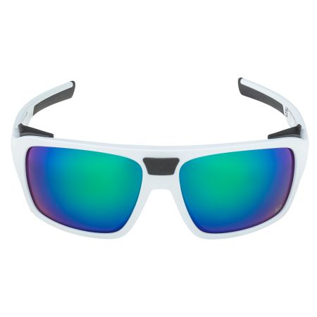 Купить Очки Alpina Skywalsh Q Smoke-Grey Matt/Green Mirror Cat.4 Fogstop в Санкт-Петербурге