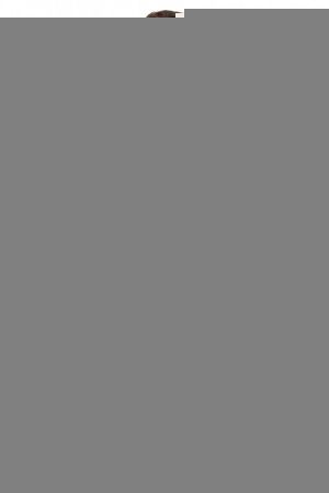 купить Футболка Brubeck Comfort Wool LS1160M графит