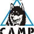 Купить в кошки camp Кошки CAMP в Санкт-Петербурге