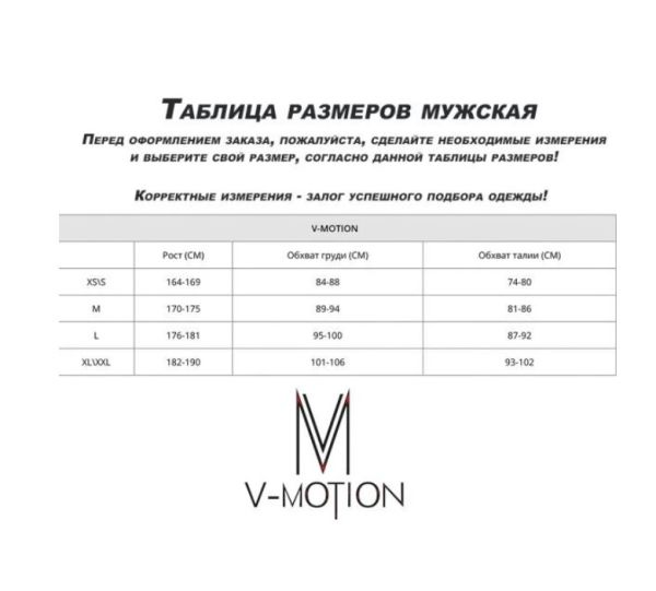 Термобельё V-MOTION Base мужской серебристый в Санкт-Петербурге