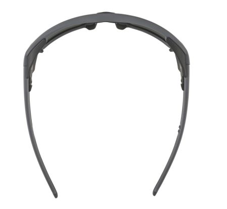 Купить Очки Alpina Skywalsh Q Midnight-Grey Matt/Blue Mirror Cat.4 Fogstop в Санкт-Петербурге