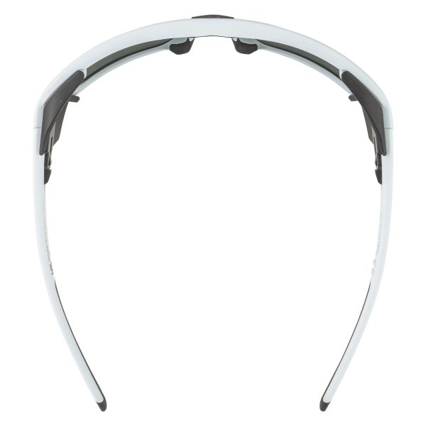 Купить очки alpina skywalsh q smoke-grey matt/green mirror cat.4 fogstop в Санкт-Петербурге